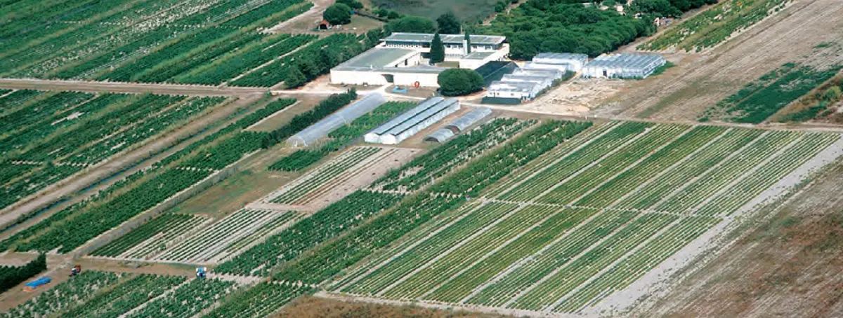 Vue aérienne du Domaine de l’Espiguette